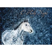 O Holy Night Dapple Grey in Snow- Package of 10 Cards