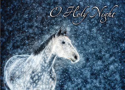 O Holy Night Dapple Grey in Snow- Package of 10 Cards