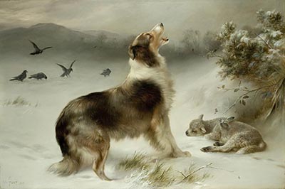 collie and lamb in snow painting