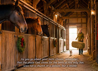 The Place God chose for the birth of His Son was a Stable - pkg of 10 cards with envelopes *NEW!*