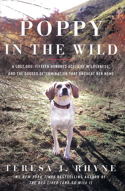 Poppy in the Wild - A Lost Dog... *HALF PRICE*