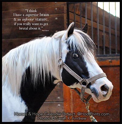 Horses & Hope Photo Plaques featuring images by Sarah K Andrew