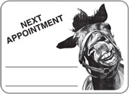 Horse Face Sticker
