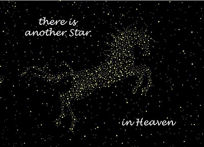 Another Star Sympathy Card - Package of 6