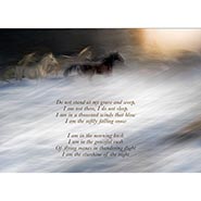 Angels' Herd Sympathy Cards - Package of 6