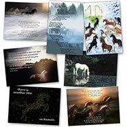 Equine Sympathy Cards Assortment - Package of 12