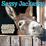 2024 Sassy Jackassy Funny and Inspirational Wall Calendar NEW!