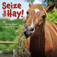 2024 Seize the Hay! Funny and Inspirational Wall Calendar