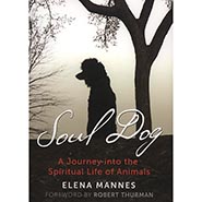 Soul Dog: A Journey into the Spiritual Life of Animals by Elena Mannes *HALF PRICE LIMITED AVAILABILITY*