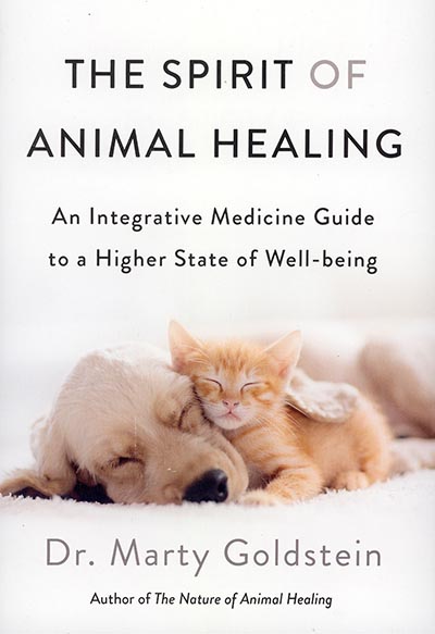 The Spirit of Animal Healing: An Integrative Medicine Guide to a Higher State of Well-Being *HALF PRICE*