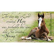 The Lord Created Hope & Spring Magnet *COLLECTABLE! 7th in the series*