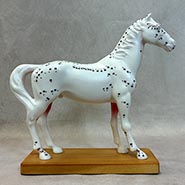 Horse Acupuncture Model on Wood Base *ONLY ONE AVAILABLE*