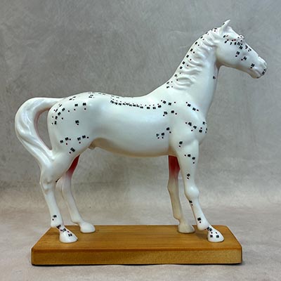 Horse Acupuncture Model on Wood Base *ONLY ONE AVAILABLE*