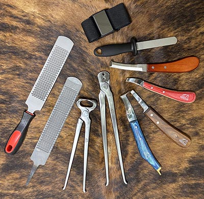 Farrier Tools Set of 10 Includes Knives, Sharpener, Rasps, Nippers, Nail Puller, Magnet  *ONLY ONE SET AVAILABLE*