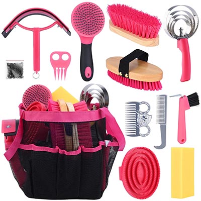 Horse Care Grooming Kit with Black Canvas Tote with Hot Pink Trim - 13 Piece *ONLY ONE AVAILABLE*