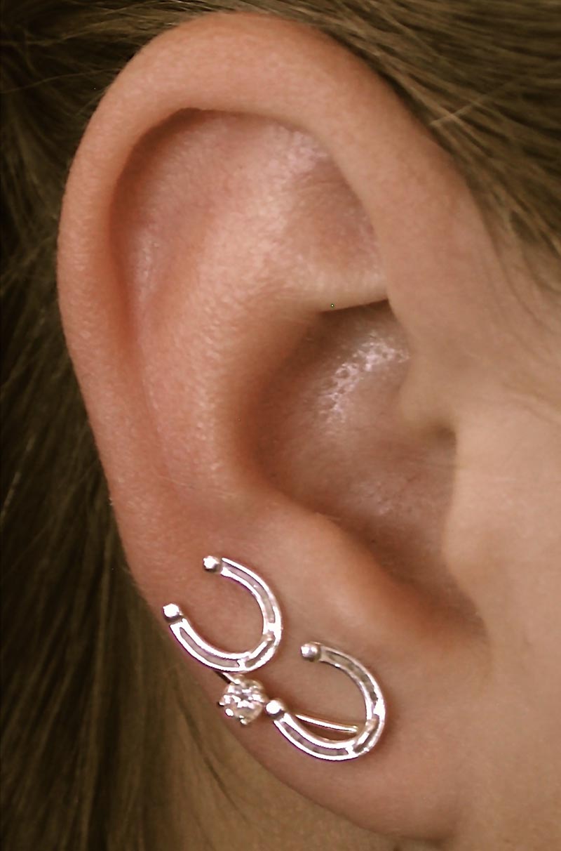 Horseshoe Earrings Small Hoofprints Horseshoe Earrings Small