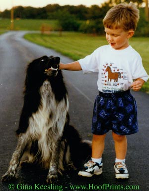 Paws-Jordan
