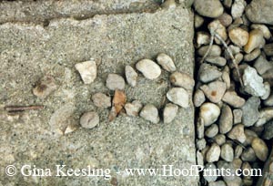 Paws Stone Fish